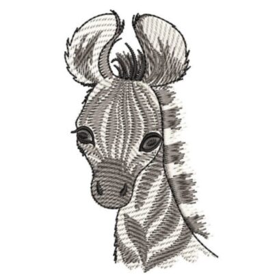 African Animals - Zebra