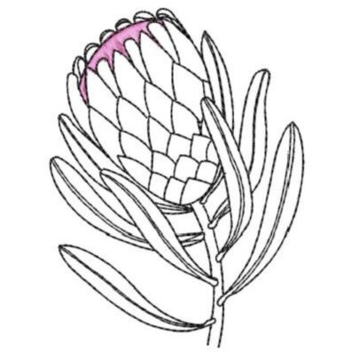 Protea Single - Single Design