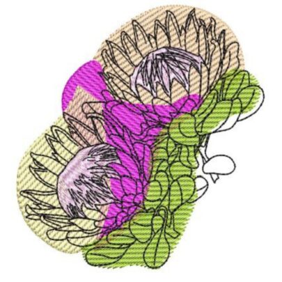 Two Proteas - Single Design