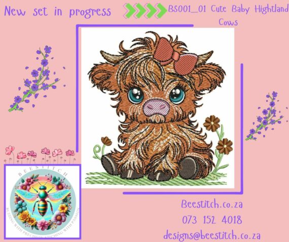 Cute Baby Highland Cows - Cow 1 - Image 2