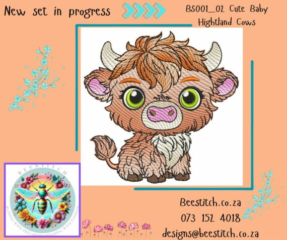Cute Baby Highland Cows - Cow 2 - Image 2
