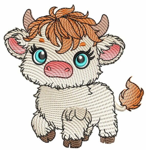 Cute Baby Highland Cows - Cow 4