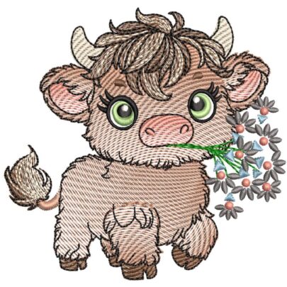 Cute Baby Highland Cows - Cow 5