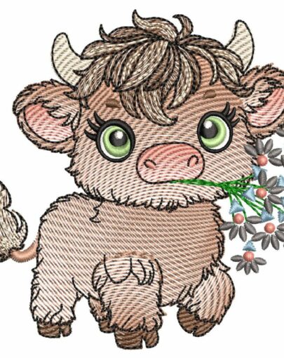 Cute Baby Highland Cows - Cow 5