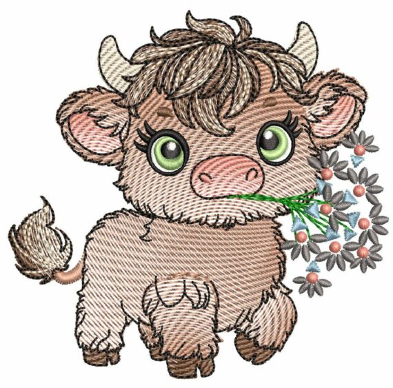Cute Baby Highland Cows - Cow 5