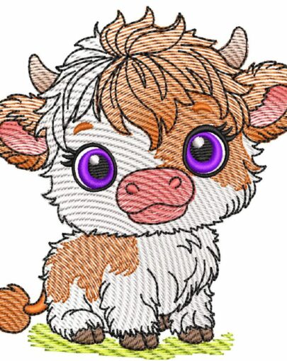 Cute Baby Highland Cows - Cow 7