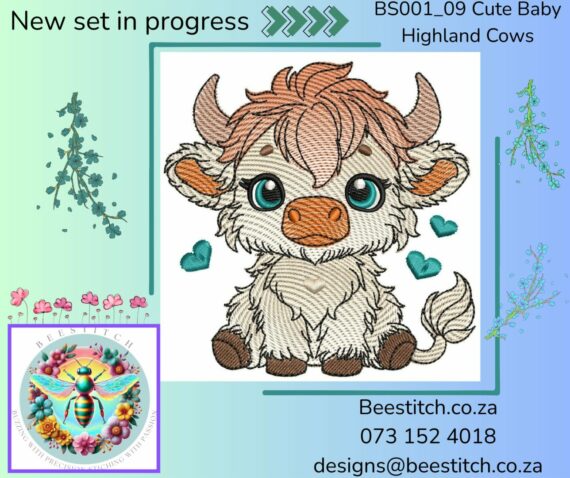 Cute Baby Highland Cows - Cow 9 - Image 2