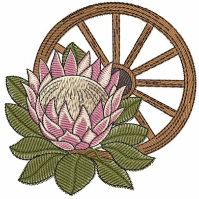 Proteas - 1