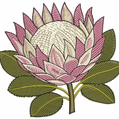 Proteas - 2