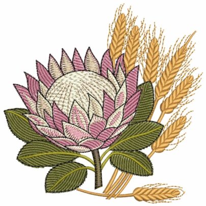 Proteas - 3