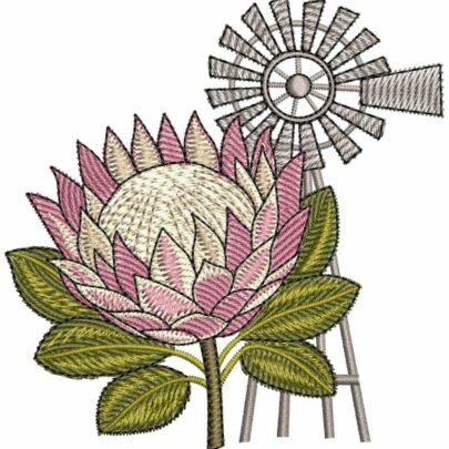 Proteas - 4