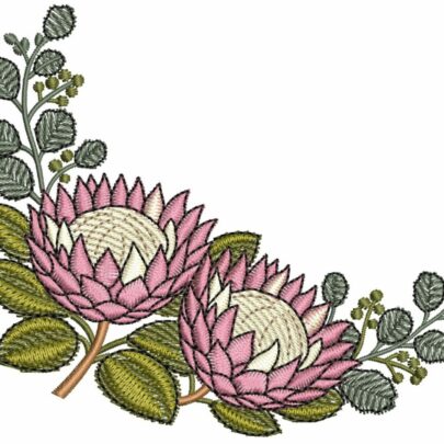 Proteas - 5