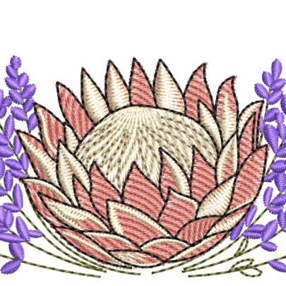 Proteas - 6