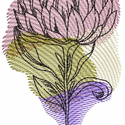 Proteas - 8