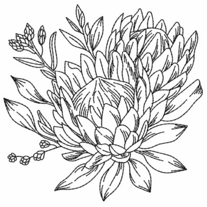 Proteas - 9