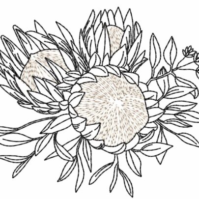 Proteas - 10