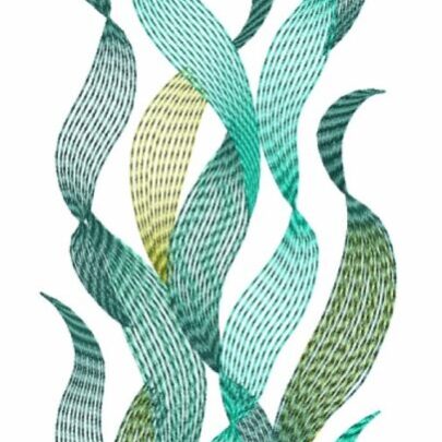 Ocean Veils - 11