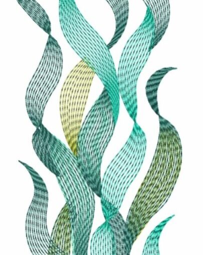 Ocean Veils - 11